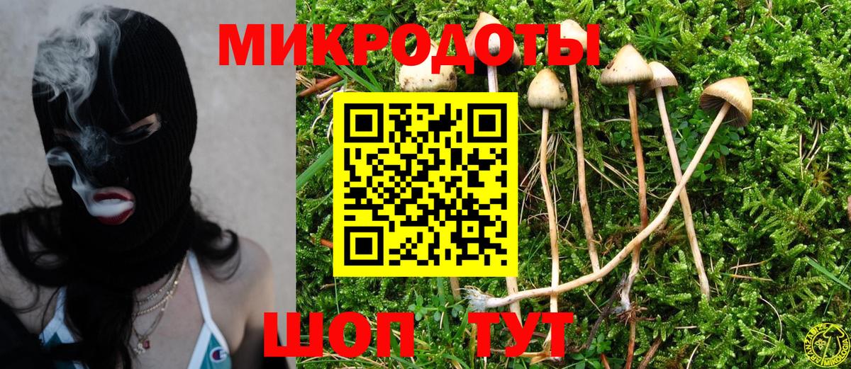 Рославль  Галлюциногенные грибы Cubensis  Вход с VPN 