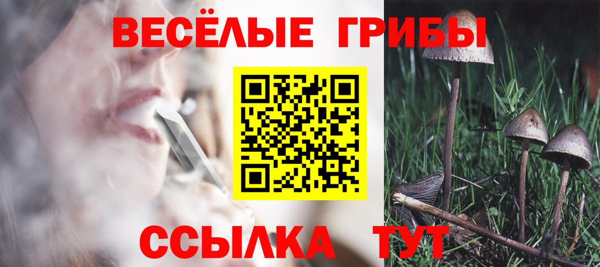 Псилоцибиновые грибы прущие грибы Рославль